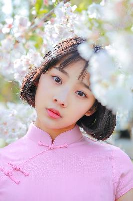 神马达达兔电视剧影视